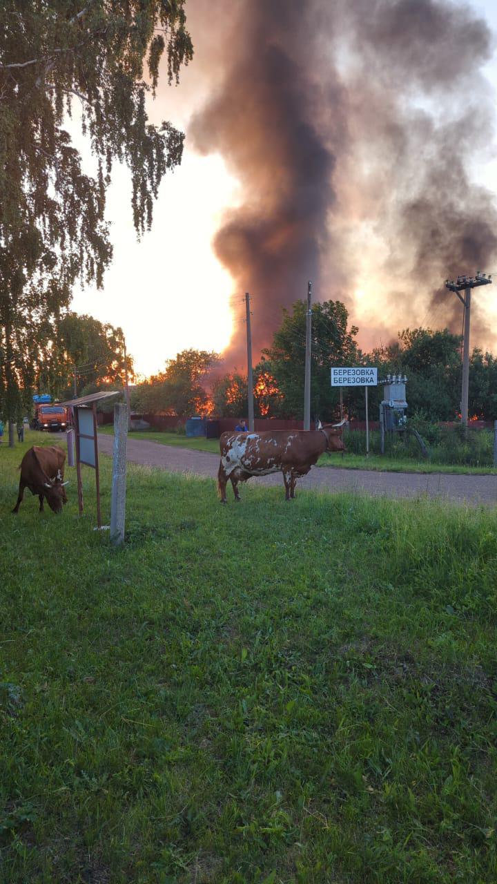 Сбор в поддержку семьи пострадавшей от пожара